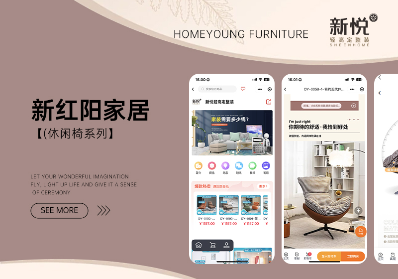 新悅家居-輕高定整裝